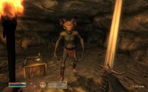 The Elder Scrolls 4: Oblivion - Золотое издание (2007) PC – торрент