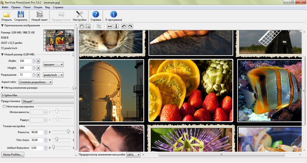 Benvista PhotoZoom Pro + ключ - увеличить фото без потери качества