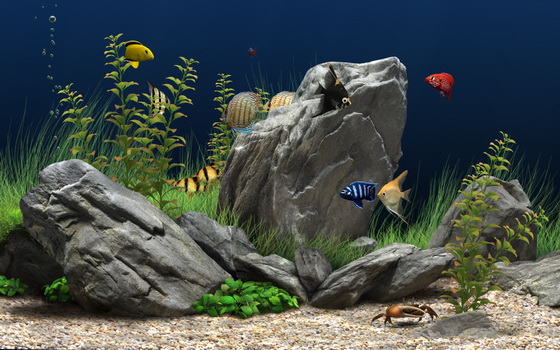Скринсейвер Dream Aquarium – аквариум на рабочий стол